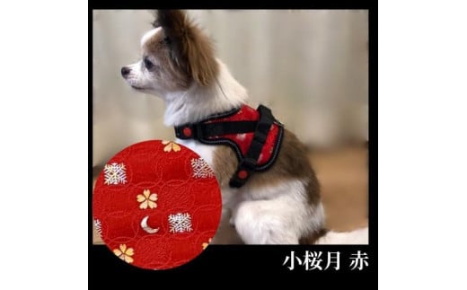 【 京都西陣金襴織 】小型犬ハーネス 華（小桜月 赤）【柴犬コウタのハッピィショップ】