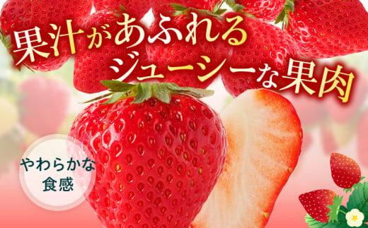 高松産季節の果物＜さぬきひめいちご化粧箱＞約400g×3箱【2025年2月上旬～2025年4月下旬配送】