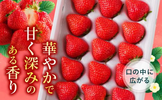 高松産季節の果物＜さぬきひめいちご化粧箱＞約400g×3箱【2025年2月上旬～2025年4月下旬配送】