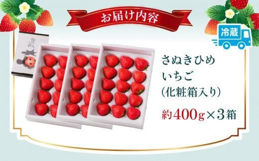 高松産季節の果物＜さぬきひめいちご化粧箱＞約400g×3箱【2025年2月上旬～2025年4月下旬配送】