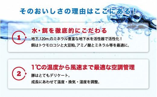 石見ポーク 肩ロースブロック 2kg（ブロック1kg×2本）