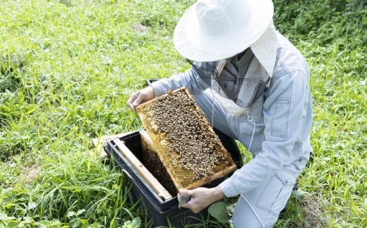 樋口養蜂場 国産百花はちみつ 1kg　ハニー 蜂蜜 ハチミツ