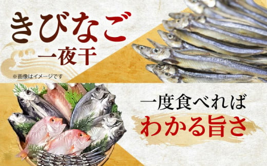 山道水産「笑顔」の干物セット 鈴（すず） 長崎県/長崎漁港水産加工団地協同組合 [42ZZAD040] 飛魚 あじ 鯛 かます きびなご ひもの 魚 海鮮 海産物 小分け おかず おつまみ 冷凍 詰め合わせ 食べ比べ 飛び魚 トビウオ 鯵 真鯵 真あじ カマス キビナゴ 一夜干し 塩干し 汐干し 新鮮 作りたて