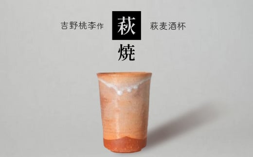 萩焼 吉野桃李作 萩麦酒杯 ｜ 和食器 食器 お洒落 オシャレ 工芸品 名産品 萩焼 麦酒杯 酒杯 キッチン 山口 美祢市 美祢 特産品