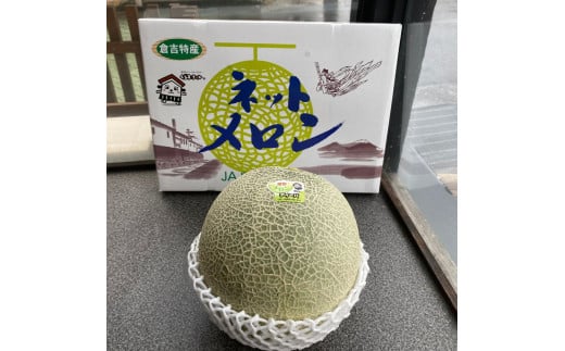 ディーバメロン【倉吉産】 約2.7kg （10月発送） 鳥取 果物