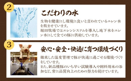 【2月配送】飛騨納豆喰豚ロースしゃぶしゃぶ  800g  【冷凍】なっとく豚 豚肉 豚 ブランド豚 天狗 下呂 しゃぶしゃぶ 2月発送 2月