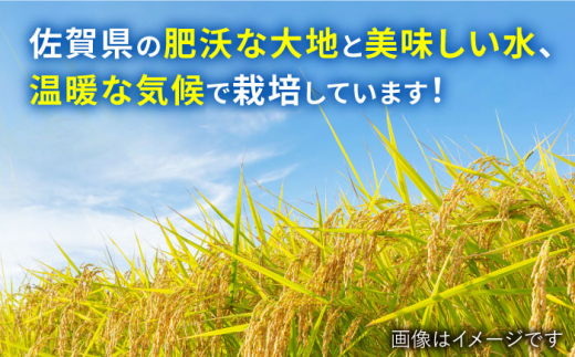 【最高ランク特A評価14年連続！】さがびより 5kg 白米