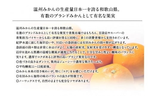 【予約受付】ブランド有田みかん　秀品5キロ/サイズお任せ　※2024年10月下旬～2025年1月中旬頃発送予定（お届け日指定不可）　紀伊国屋文左衛門本舗【ntbt140B】