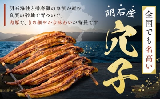 【3ヵ月連続お届け】特選明石産炭焼き穴子（タレ3個付き）[ 定期便 ]