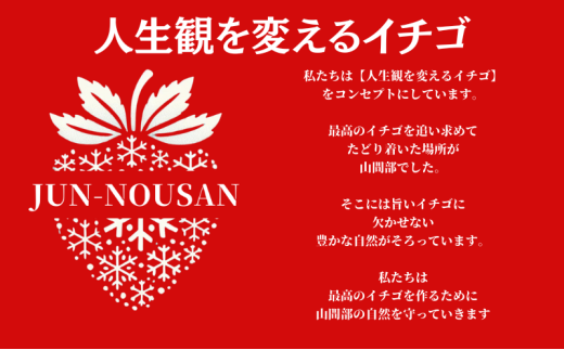 [№5308-0457]「今までで1番旨い」とグルメ家がうなったイチゴ【女神の雫】/2025年1月から3月/450g/岐阜県/美濃市/じゅん農産/2
