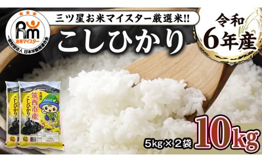 茨城県 筑西市産 コシヒカリ 10kg ( 5kg × 2袋 ) 令和6年産