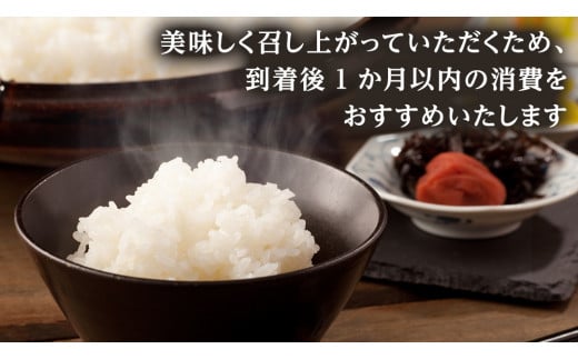 茨城県 筑西市産 コシヒカリ 10kg ( 5kg × 2袋 ) 令和6年産