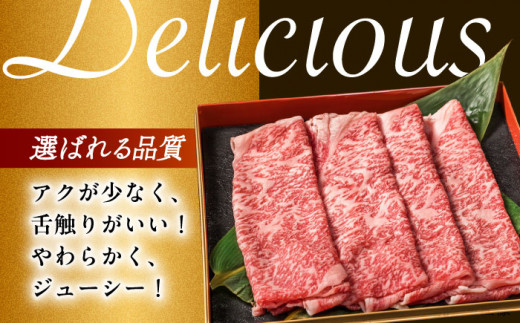 長崎和牛 ローススライス すき焼き・しゃぶしゃぶ用 約500g 長崎県/長崎県農協直販 [42ZZAA171]  肉 牛 和牛 ロース スライス すき焼き しゃぶしゃぶ 西海市 長崎 九州