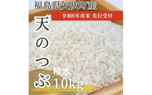 ＜令和6年度産　先行受付＞　天のつぶ(矢吹町中畑地区産)10kg(5kg×2袋)【1477963】