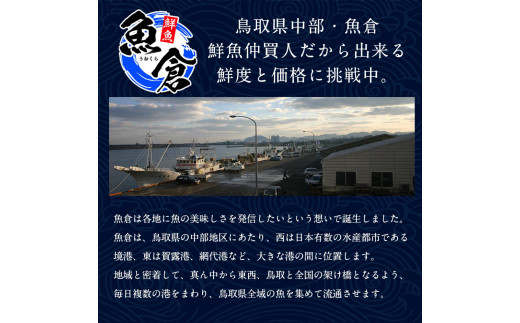 ６６５．【ボイル】タグ付き松葉ガニ　中1枚（700g前後）◇【着日指定不可】
※2024年11月上旬～2025年3月下旬頃に順次発送予定《かに カニ 蟹》