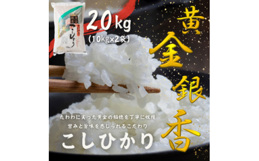 ～黄金銀香～〈福島県産〉コシヒカリ20kg(10kg×2)(精米)甘みと旨味が感じられるこだわりの米【1523704】