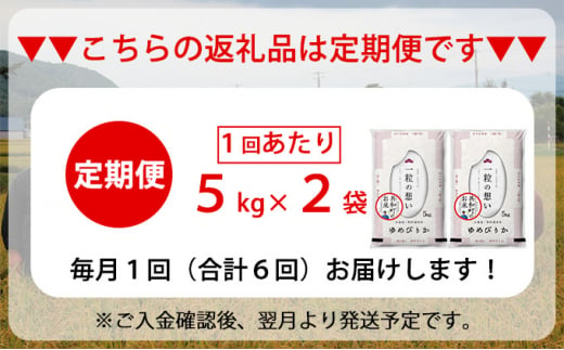 令和6年産  定期便 6ヵ月連続お届け ゆめぴりか 10kg 精米 北海道 共和町