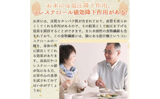 【ヒノヒカリ】令和６年産 新米 玄米10kg（10kg×1袋）(17-53) 健康志向の方におすすめ 米 お米 こめ コメ ひのひかり 人気 玄米 健康