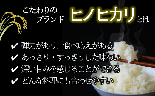 【ヒノヒカリ】令和６年産 新米 玄米10kg（10kg×1袋）(17-53) 健康志向の方におすすめ 米 お米 こめ コメ ひのひかり 人気 玄米 健康