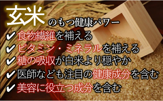 【ヒノヒカリ】令和６年産 新米 玄米10kg（10kg×1袋）(17-53) 健康志向の方におすすめ 米 お米 こめ コメ ひのひかり 人気 玄米 健康