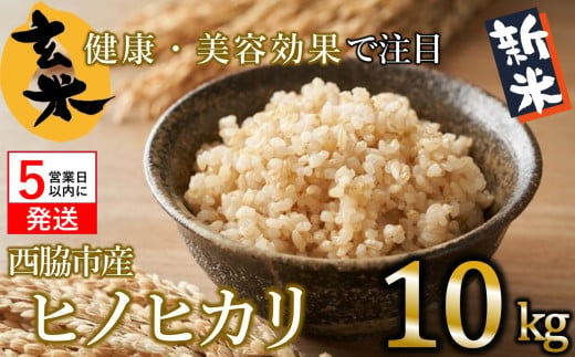 【ヒノヒカリ】令和６年産 新米 玄米10kg（10kg×1袋）(17-53) 健康志向の方におすすめ 米 お米 こめ コメ ひのひかり 人気 玄米 健康