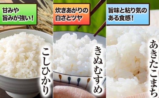 166. 令和6年産 青空市きらりの 選べるお米 10kg 岡山県産 食べ比べ こしひかり×あきたこまち 青空市きらり《30日以内に出荷予定(土日祝除く)》岡山県 矢掛町 白米 精米 米 コメ