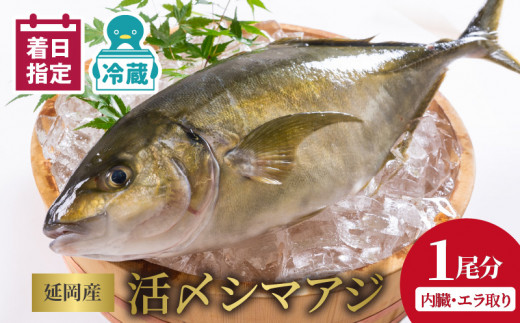 【冷蔵】延岡産活〆鮮魚職人技の脱血鮮魚シマアジ N019-YZB419