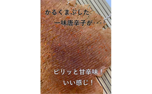 昭和のなつかしい味!やわらか　のしいか(甘辛味)12パック【1410010】