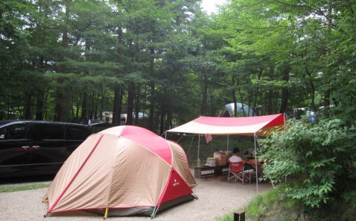 フォレストパークあだたら 利用券 ( 5000円分 × 5枚 )【10042】 キャンプ アウトドア 旅行 福島県 大玉村 オートキャンプ場 トレーラー コテージ チケット 宿泊