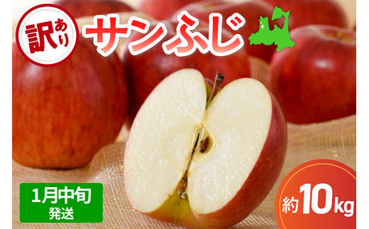 【2025年1月中旬発送】 サンふじ青森 訳あり りんご 10kg 程度 五所川原 不揃い