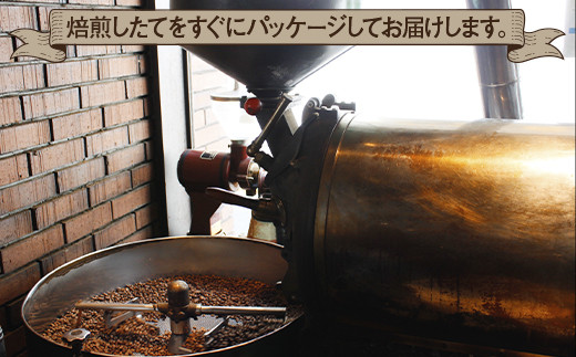 《プランタン珈琲商会 自家焙煎レギュラーコーヒー》 キリマンジャロブレンド 300g×2袋入り(豆のまま) 当社で焙煎仕立てのコーヒー豆をお届け！ [1638]