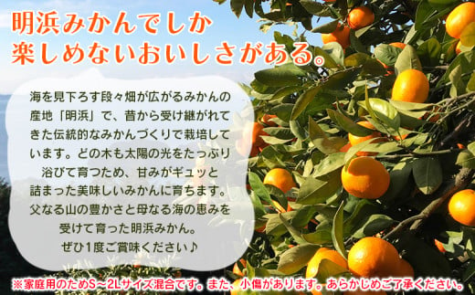 紅まどんなと同品種！＜天晴まどんな（愛媛果試28号）ご家庭用 約5kg＞ マドンナ 訳あり 果物 くだもの フルーツ みかん ミカン 柑橘 天晴農園 あっぱれのうえん 特産品 愛媛県 西予市【常温】