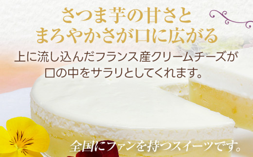 【ご自宅用】おいもっち（ホールタイプ） 無添加 手作り さつまいも チーズケーキ スイーツ 芋 クリームチーズ 2層 ホール ホールケーキ ギフト パーティー 大人数 贈り物