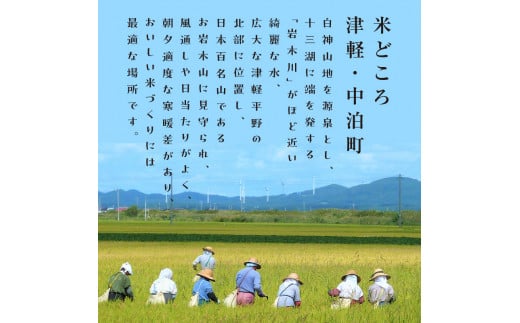 令和6年産 新米 中泊産 こだわりの有機米 （5分づき） 2kg ＜有機 JAS 認証＞ 【瑞宝(中里町自然農法研究会)】 自然純米の里 有機JAS認定 有機米 米 こめ コメ お米 ぶづき米 ぶつき米 精米 ５分 津軽 無農薬 自然農法 農薬不使用 オーガニック 青森 中泊町 F6N-159