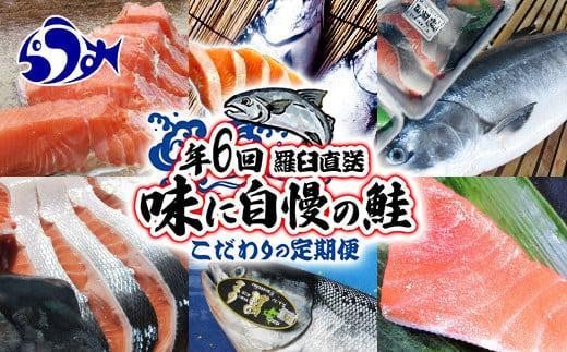 年6回　羅臼直送　味に自慢の鮭（サーモン）こだわりの定期便 生産者 支援 応援