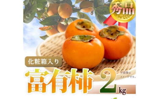 和歌山秋の味覚　富有柿　約２ｋｇ化粧箱入「2025年11月上旬以降発送予定」【UT49】