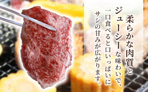 根羽こだわり和牛 焼肉用 400g バラ肉 モモ肉 盛り合わせ 10000円