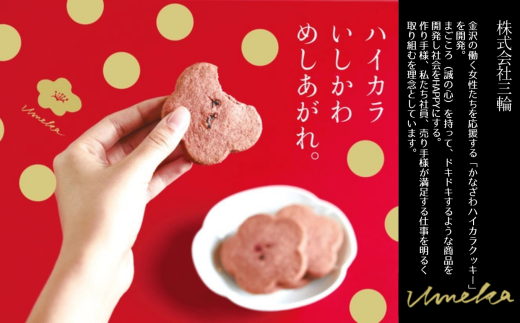 焼菓子 サブレ お菓子 《お好きな味を選べる》かなざわハイカラクッキー １種類×４箱セット／抹茶とピスタチオ　４箱