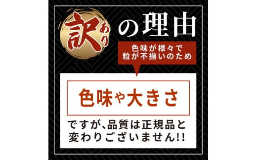 訳あり 半生うに 200g 100g×2 冷凍 うに キタムラサキウニ ミョウバン不使用 ウニ丼 丼 三陸 岩手県 大船渡市