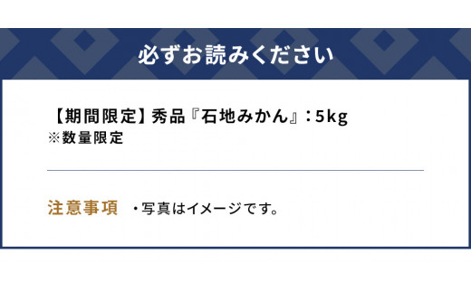 【先行予約・数量限定】野の花ファーム 秀品 石地みかん 5kg  ミカン オレンジ 蜜柑 フルーツ 旬 果物 くだもの 大分県産 九州産 津久見市 国産