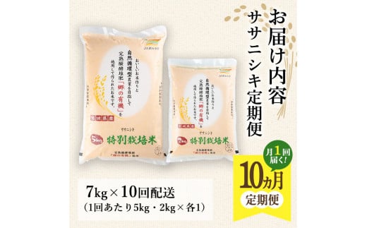 ＜10か月定期便＞特別栽培米 ササニシキ 7kg×10回 (全70kg) お米 おこめ 米 コメ 白米 ご飯 ごはん おにぎり お弁当 有機質肥料 頒布会【JA新みやぎ】ta227