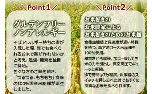 【12月15日までの入金確認で年内発送】＜高鍋の米粉麺「米仙人」 120g×10玉＞入金確認後、翌月末迄に順次出荷します。