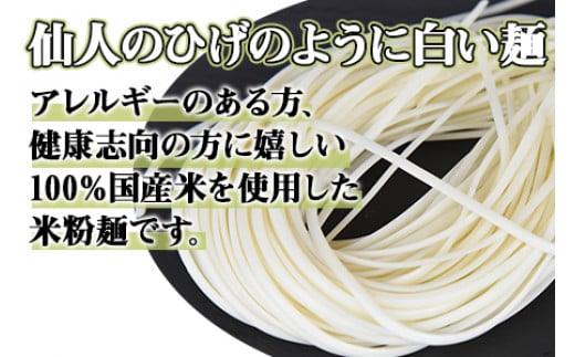 【12月15日までの入金確認で年内発送】＜高鍋の米粉麺「米仙人」 120g×10玉＞入金確認後、翌月末迄に順次出荷します。