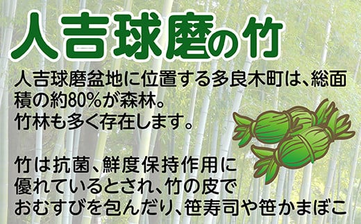 竹製 お部屋の照明 手づくりキット 多良木町夢工房 【 手作り ライト あかり 照明 癒し 親子で 夏休み 工作 オリジナル 】  002-0536