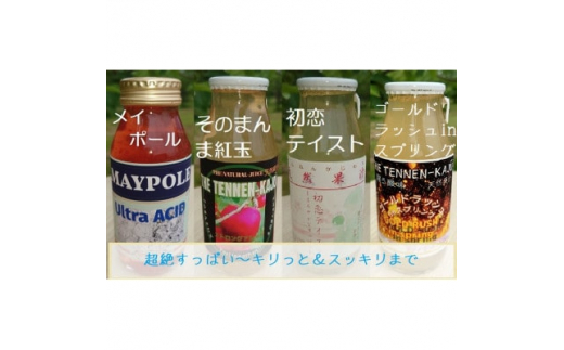 天然果汁ミニ180ml×12本バラエティセット【1416270】