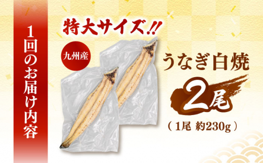 鹿児島産うなぎ 白焼2尾セット  国産 定期便