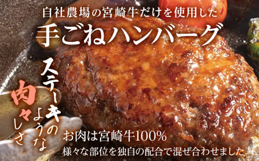 九州産黒毛和牛100％ 手ごねハンバーグ&ビーフカレー 計4個セット 自家製ハンバーグソース付き 惣菜 晩御飯 晩ご飯 晩飯 夕飯 夜ご飯 夜食 たれ 煮込み ビーフ 宮崎牛