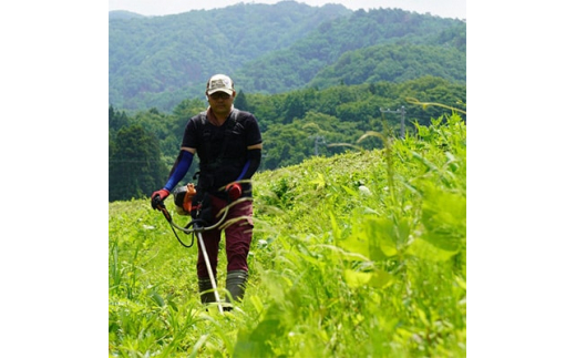 ＜毎月定期便＞上野新農業センターのお米 関川村産コシヒカリ精米6kg 全12回【4002527】