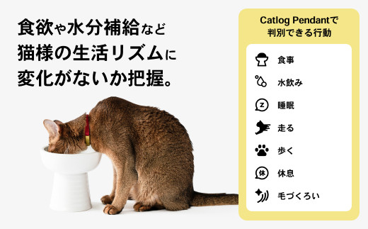 K2124 【3猫様用】Catlog基本セット + 追加Pendant 2本