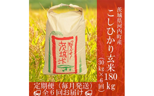 ＜毎月定期便＞茨城県河内町産コシヒカリ玄米30kg全6回【4004861】